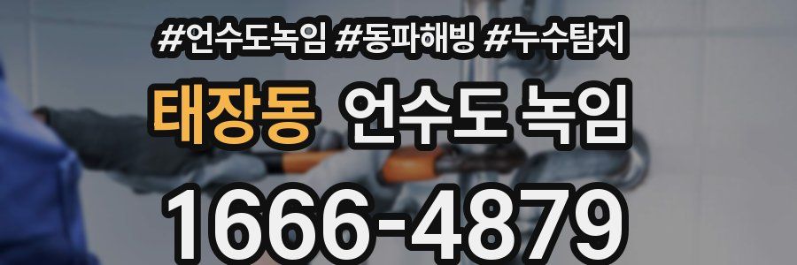 태장동 언수도 녹임