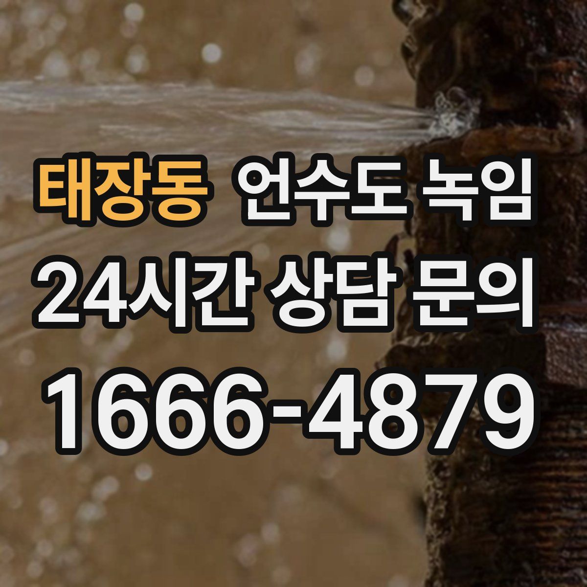 태장동 언수도 녹임