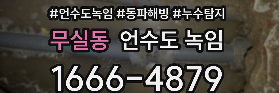 무실동 언수도 녹임