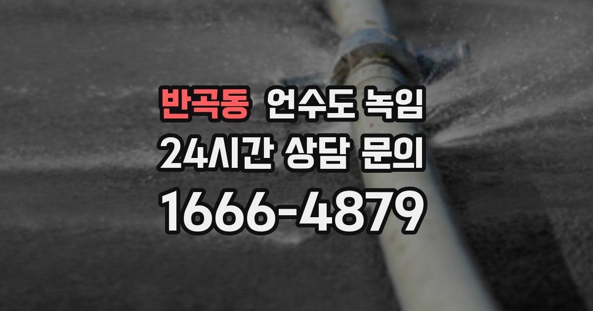 반곡동 언수도 녹임