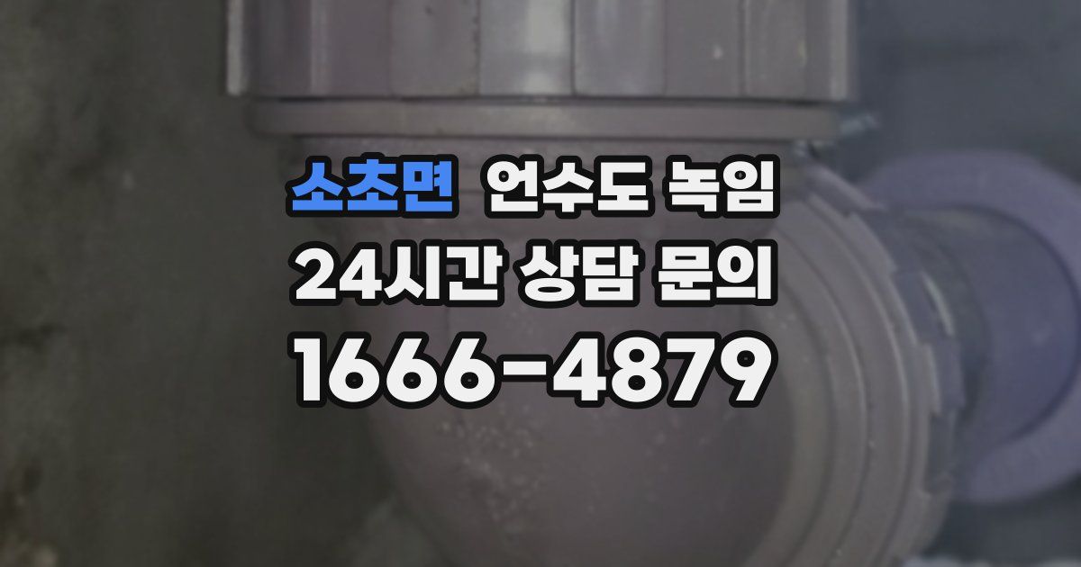 소초면 언수도 녹임