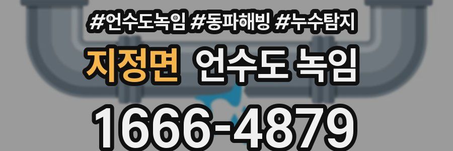 지정면 언수도 녹임