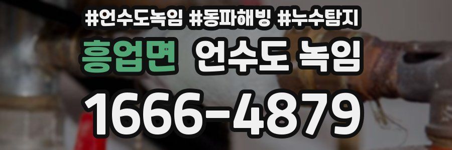 흥업면 언수도 녹임