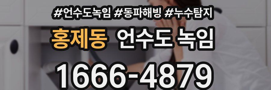 홍제동 언수도 녹임