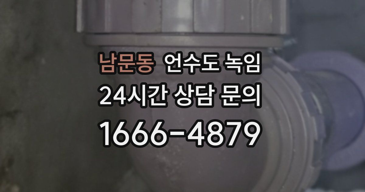 남문동 언수도 녹임