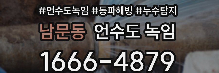 남문동 언수도 녹임