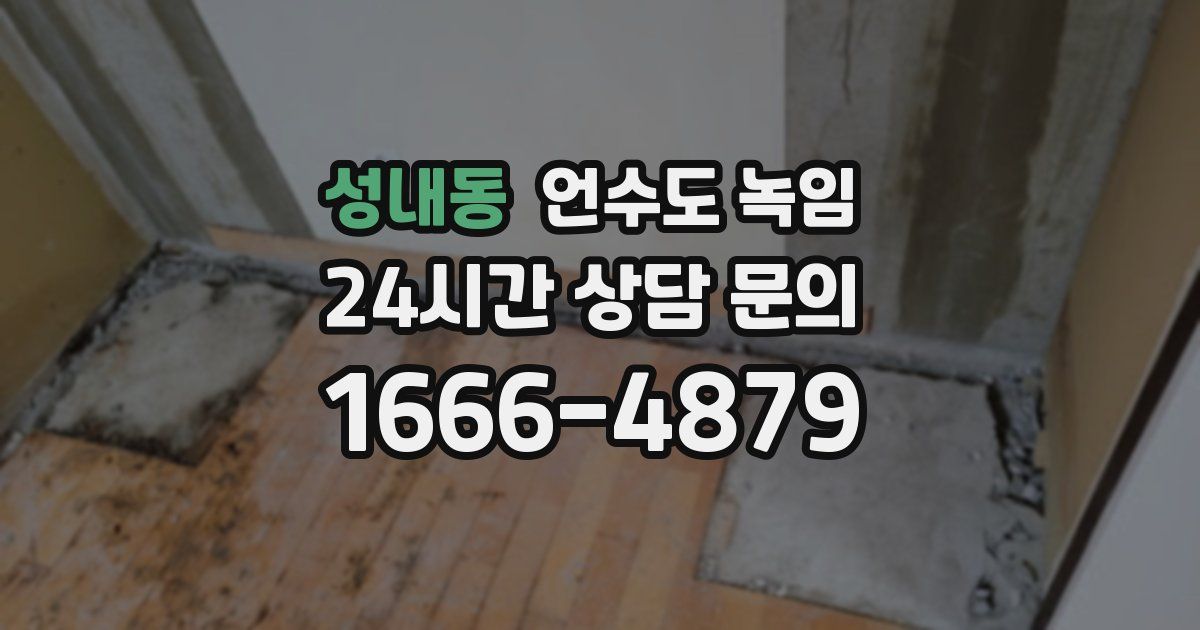 성내동 언수도 녹임