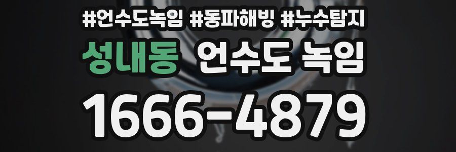 성내동 언수도 녹임