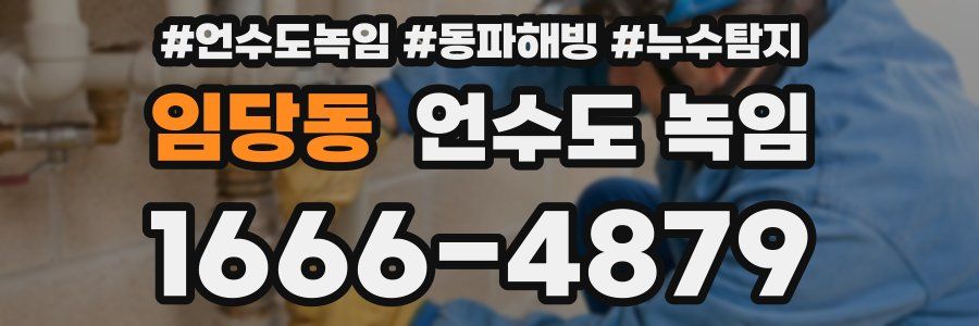 임당동 언수도 녹임