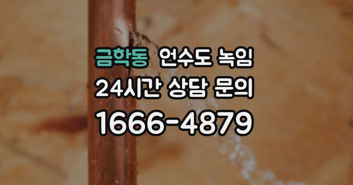 금학동 언수도 녹임