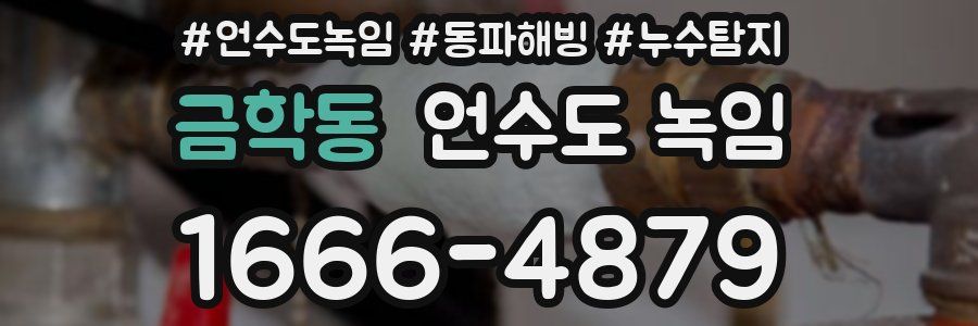 금학동 언수도 녹임