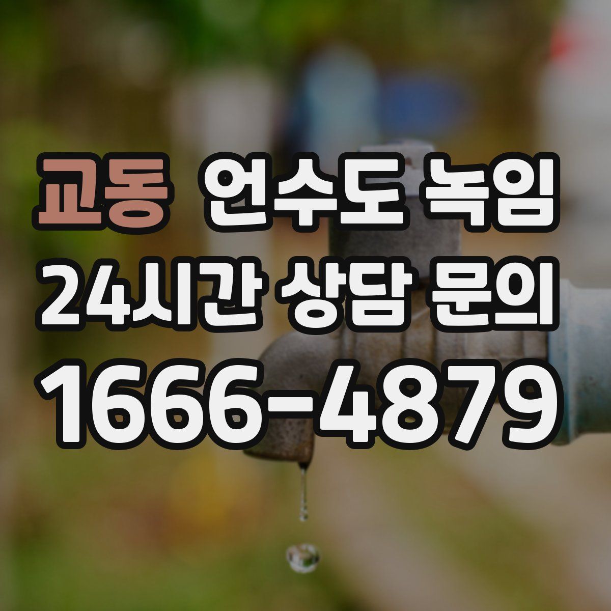 교동 언수도 녹임