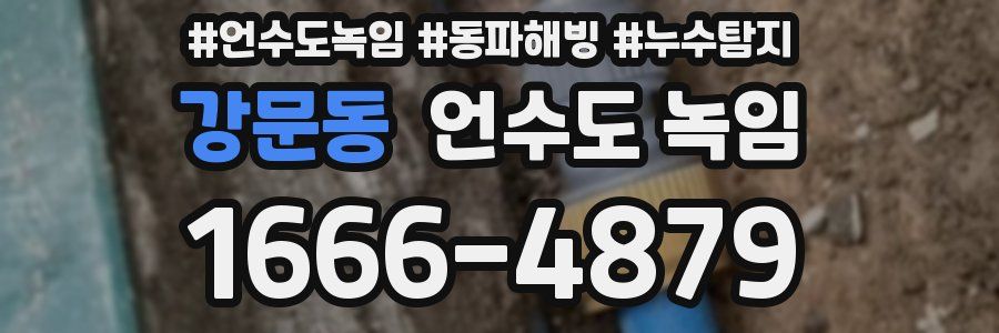 강문동 언수도 녹임