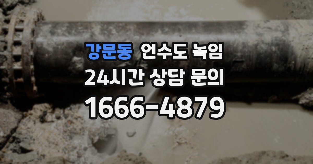 강문동 언수도 녹임