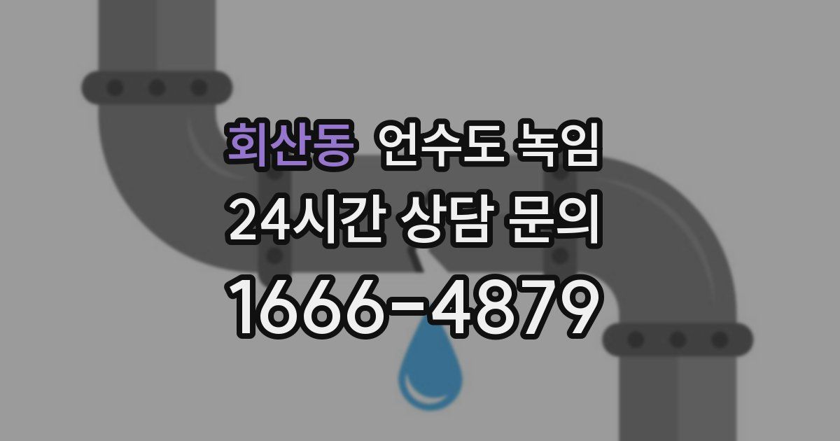 회산동 언수도 녹임