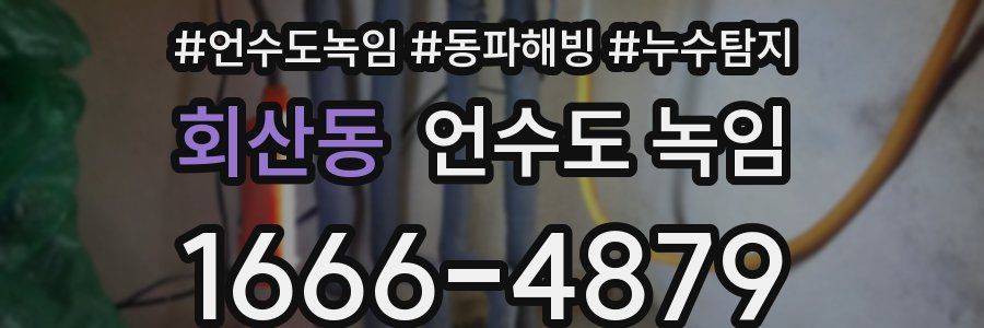 회산동 언수도 녹임