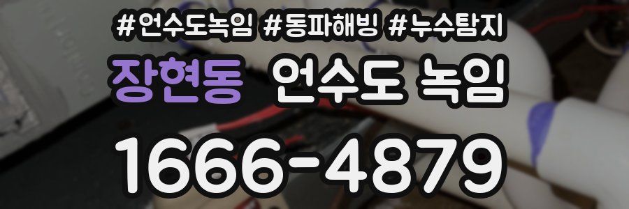 장현동 언수도 녹임