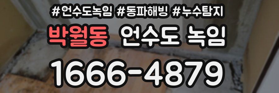 박월동 언수도 녹임