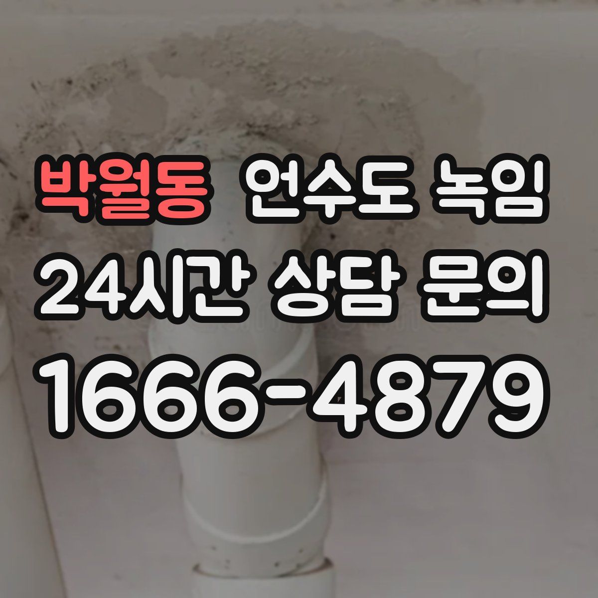 박월동 언수도 녹임