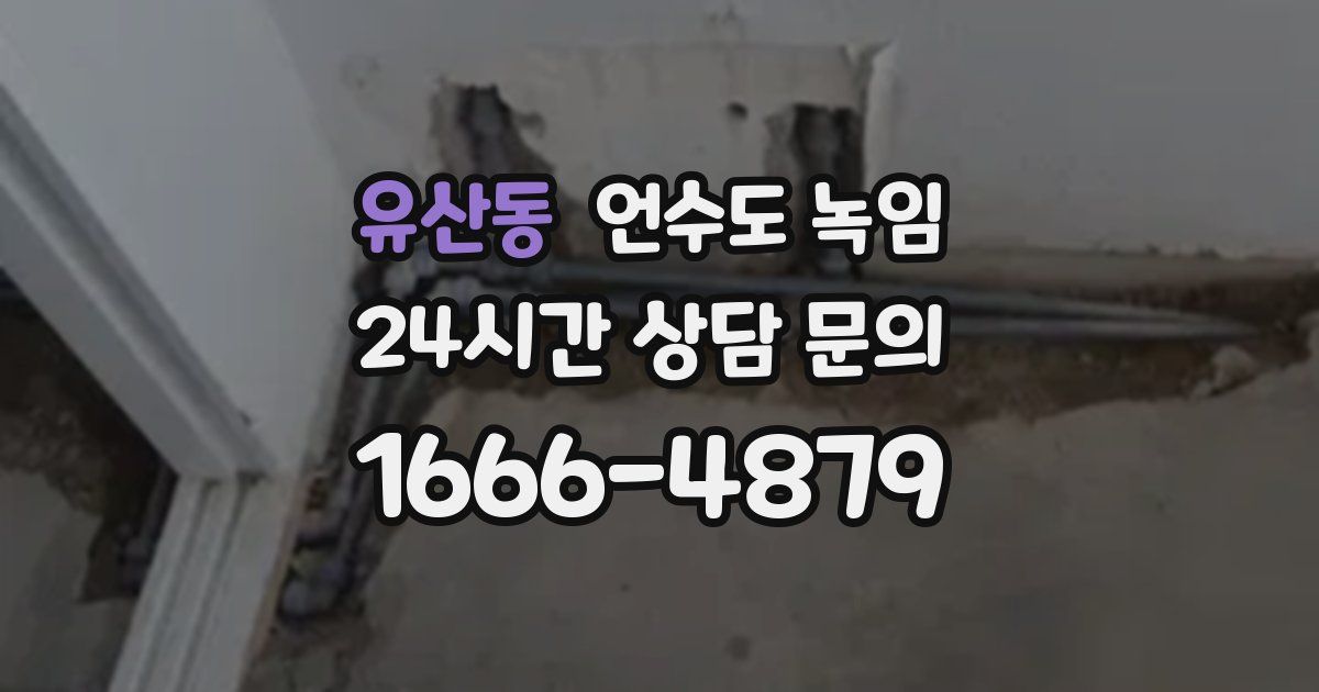 유산동 언수도 녹임