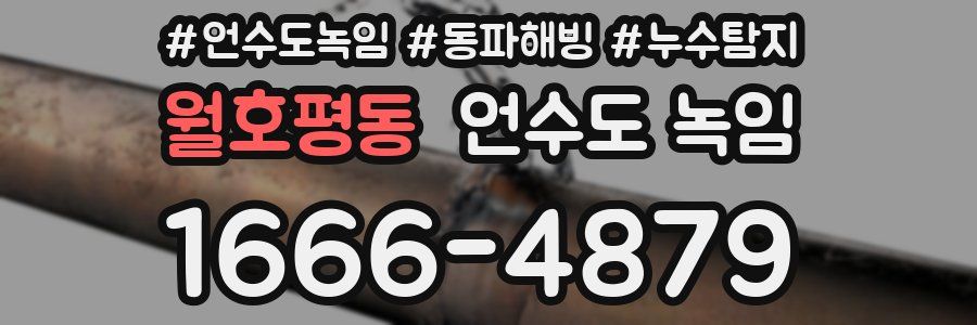 월호평동 언수도 녹임