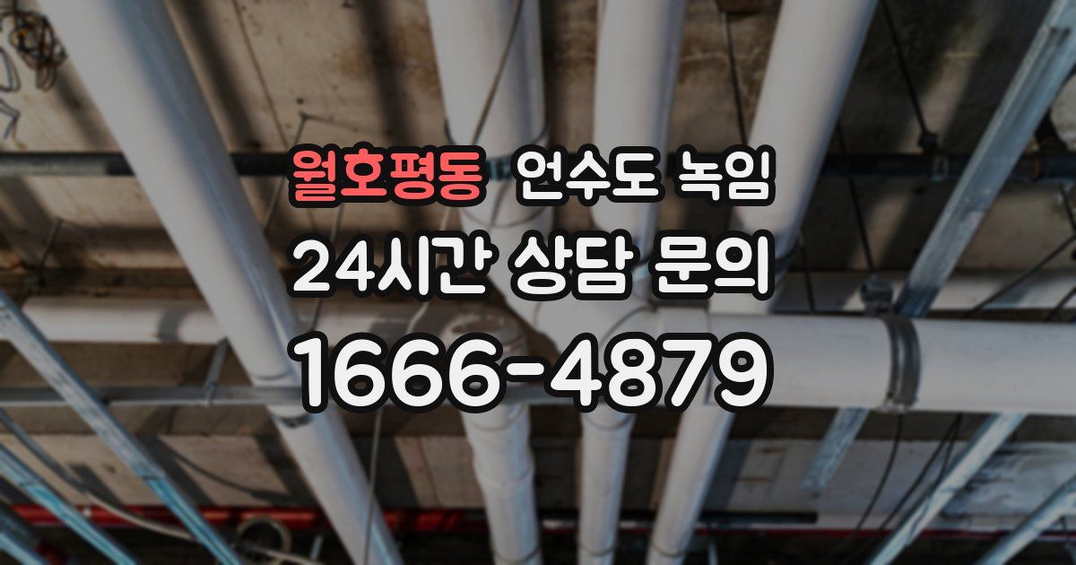 월호평동 언수도 녹임