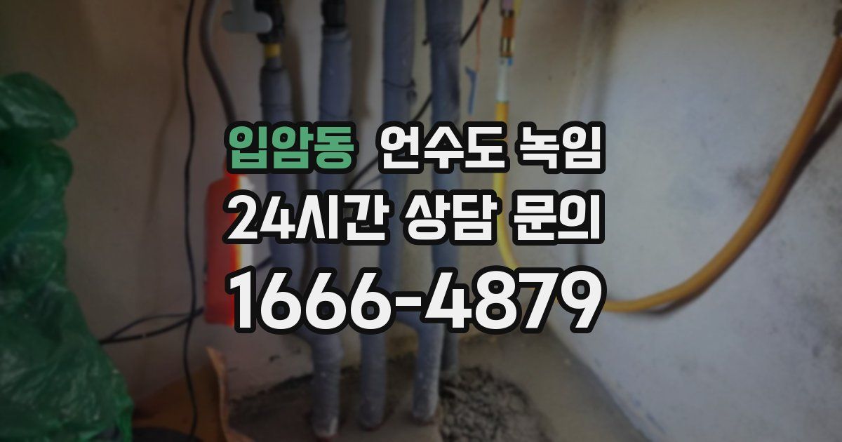 입암동 언수도 녹임