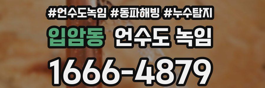 입암동 언수도 녹임