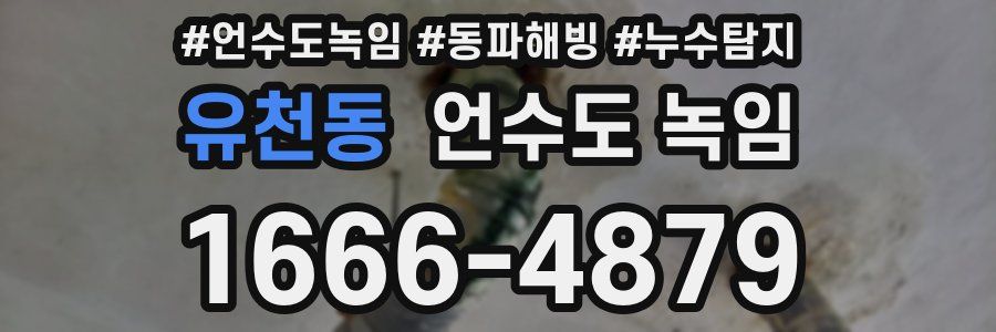 유천동 언수도 녹임