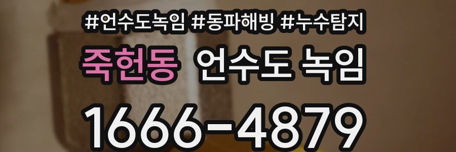 죽헌동 언수도 녹임