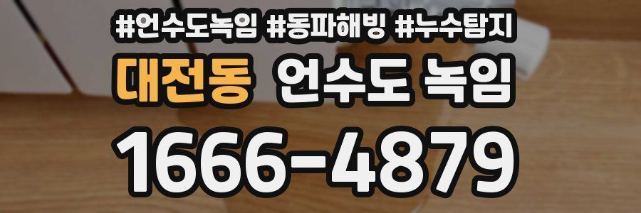 대전동 언수도 녹임