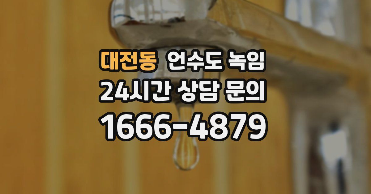 대전동 언수도 녹임