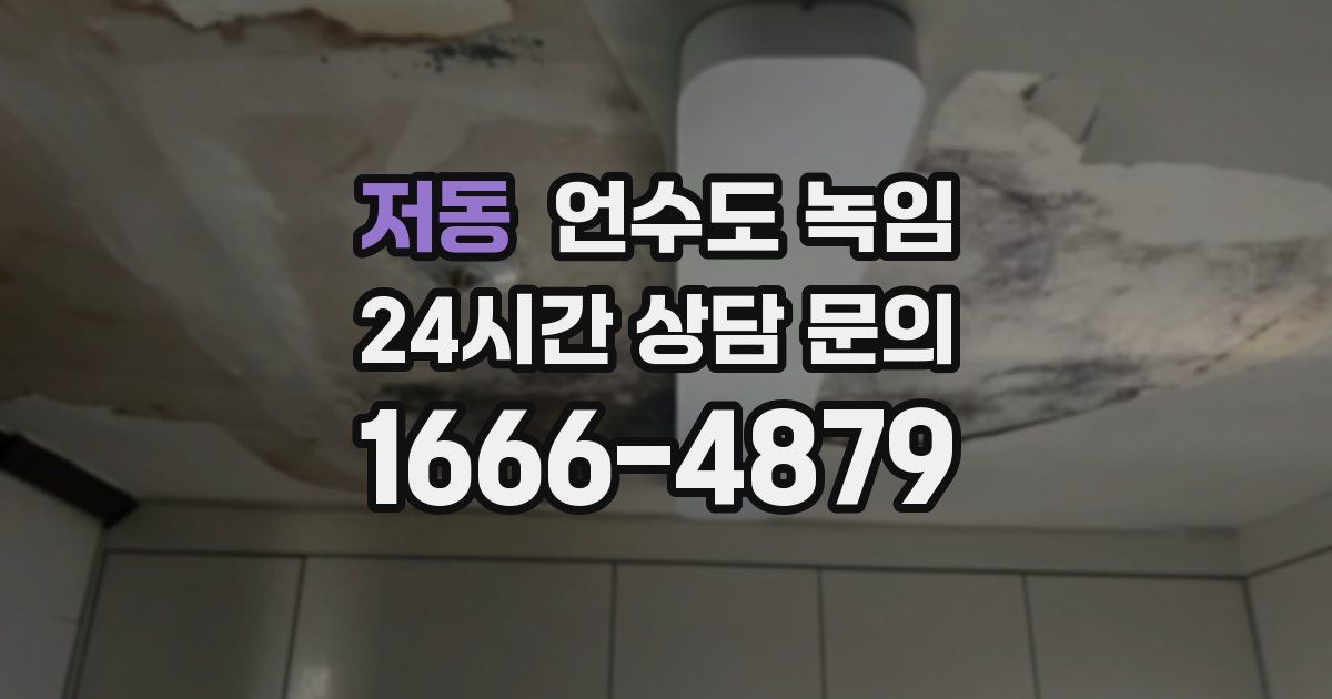 저동 언수도 녹임