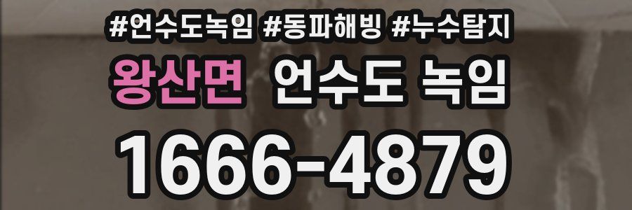 왕산면 언수도 녹임