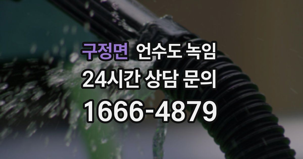 구정면 언수도 녹임