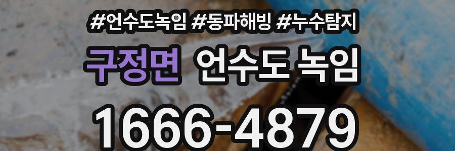 구정면 언수도 녹임