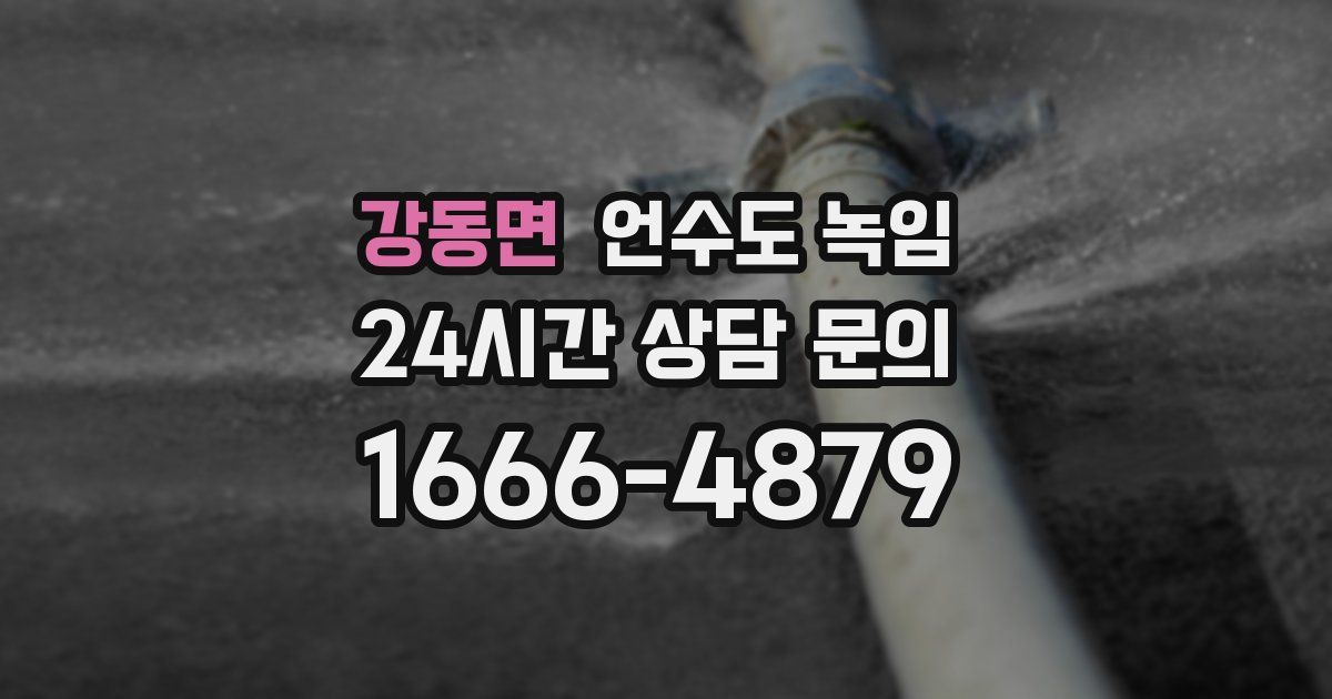 강동면 언수도 녹임