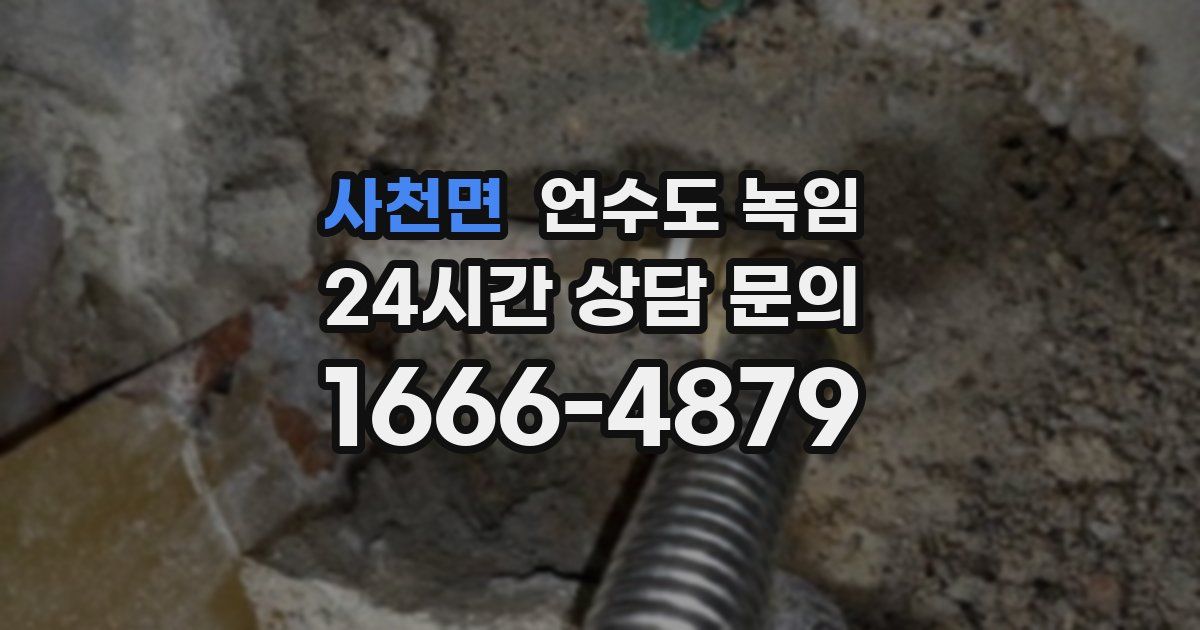 사천면 언수도 녹임