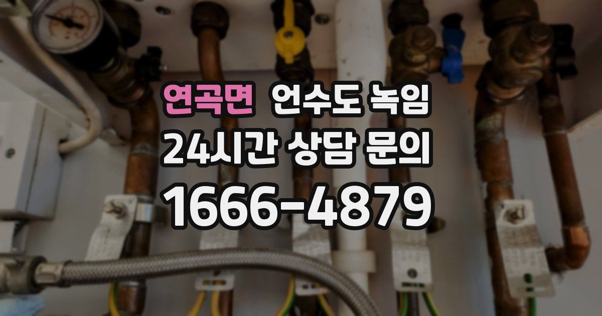 연곡면 언수도 녹임