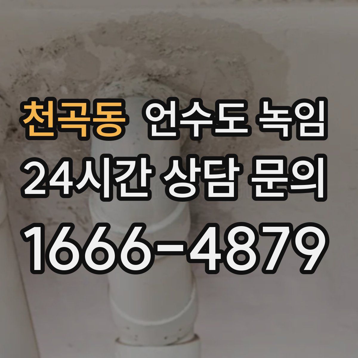 천곡동 언수도 녹임