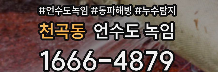 천곡동 언수도 녹임