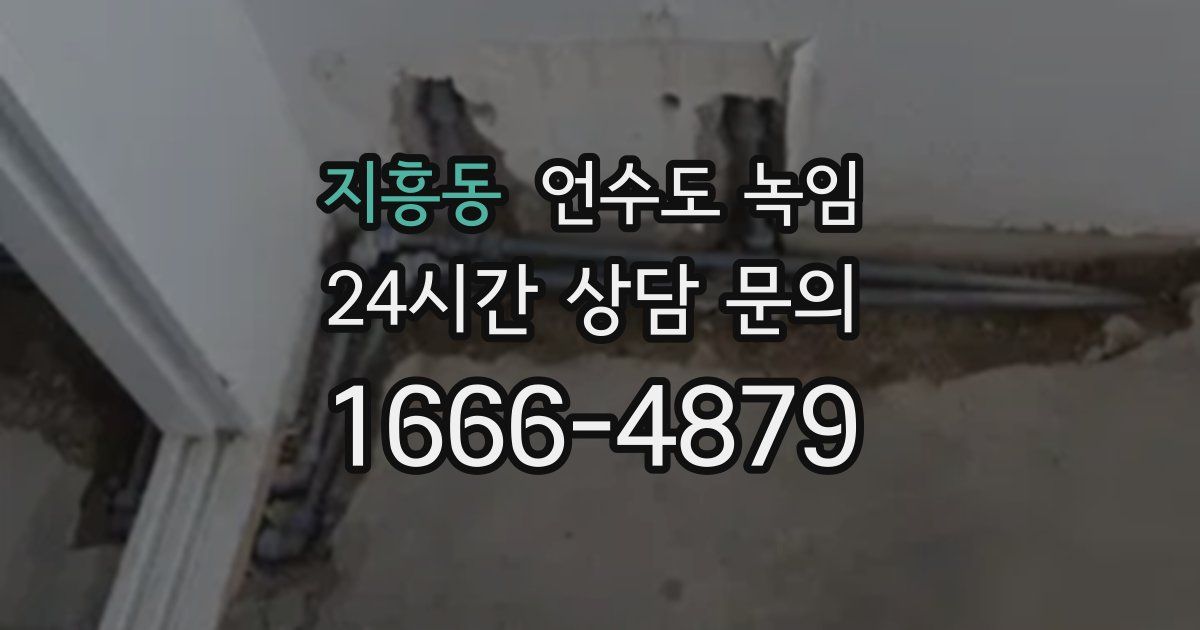 지흥동 언수도 녹임