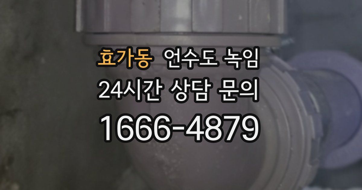 효가동 언수도 녹임