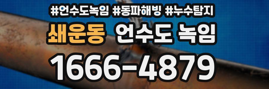 쇄운동 언수도 녹임