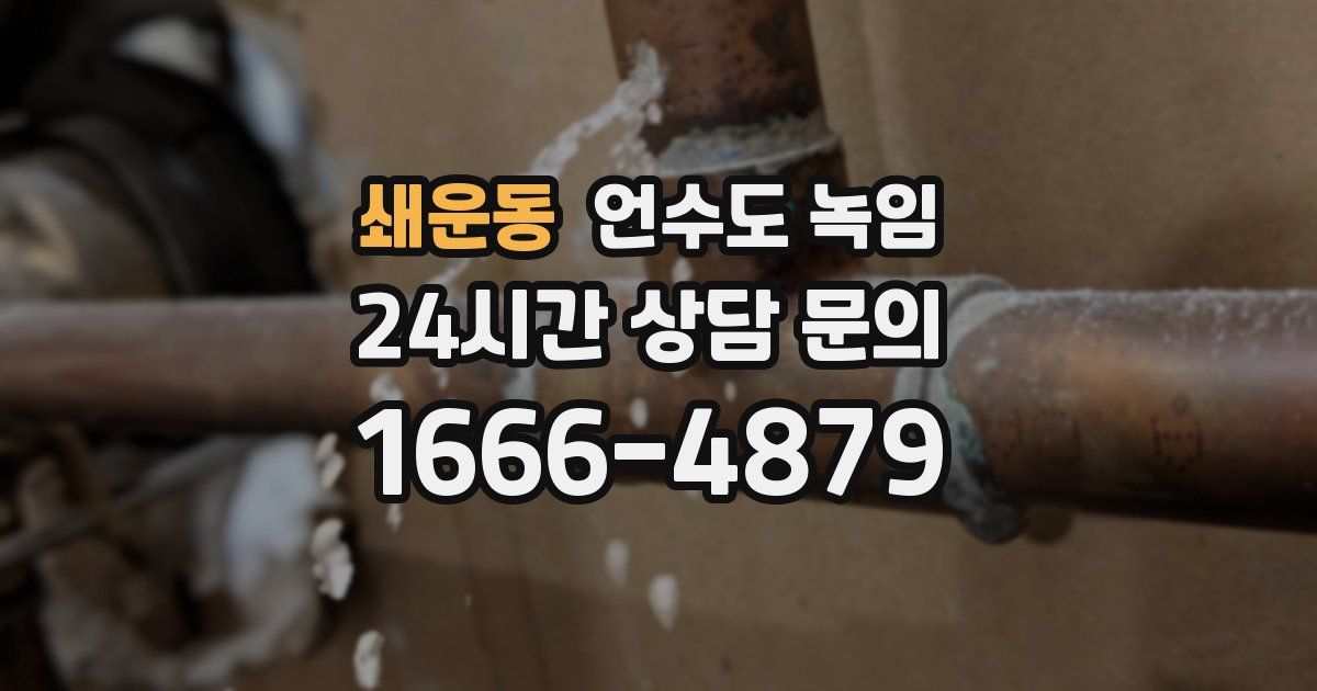 쇄운동 언수도 녹임