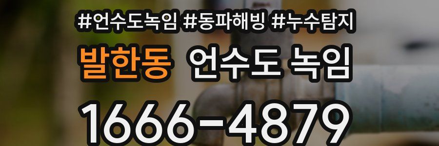 발한동 언수도 녹임