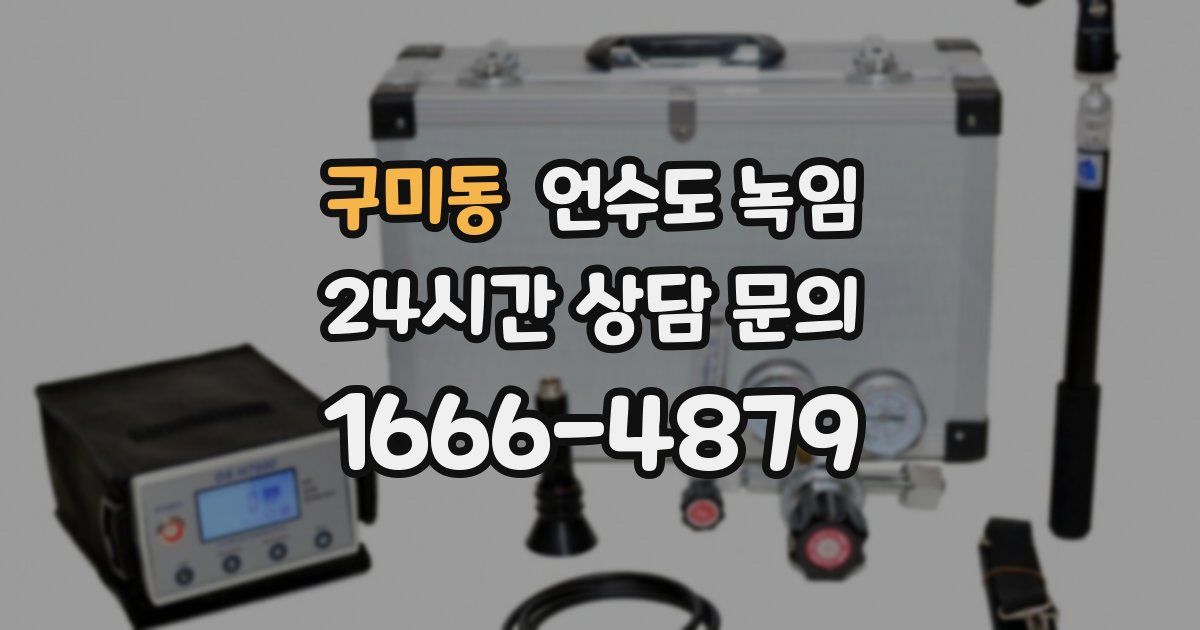 구미동 언수도 녹임