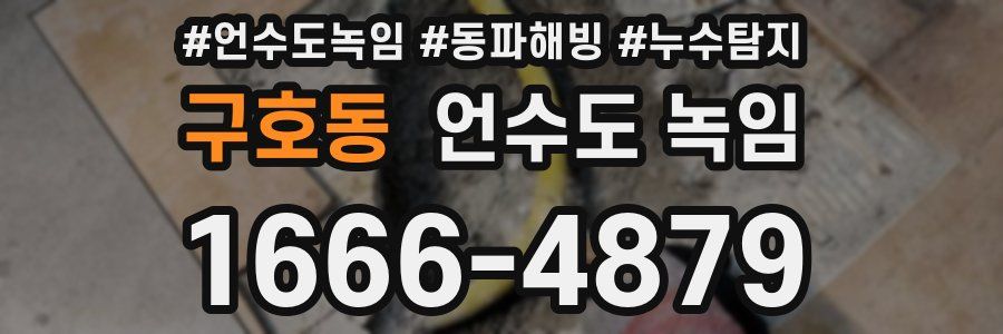 구호동 언수도 녹임