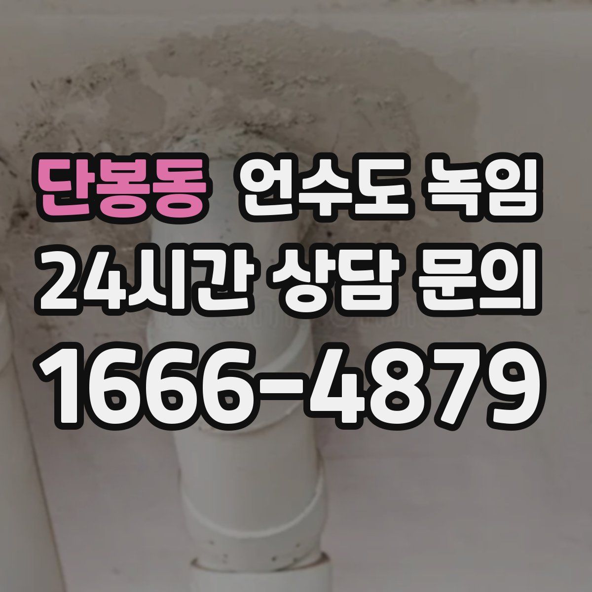 단봉동 언수도 녹임