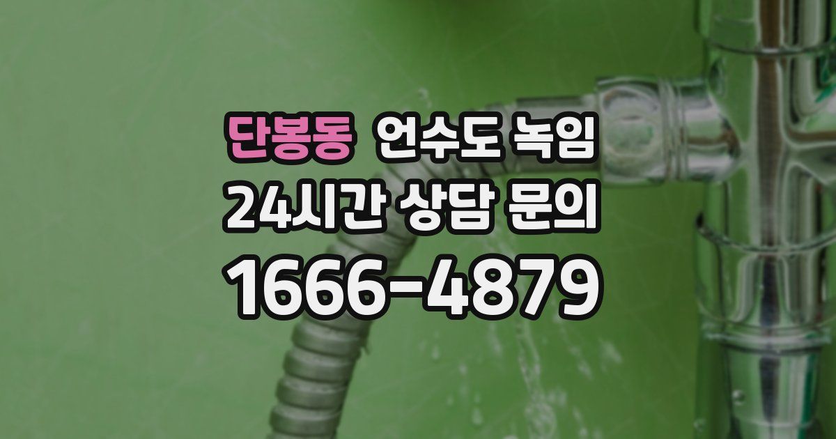 단봉동 언수도 녹임